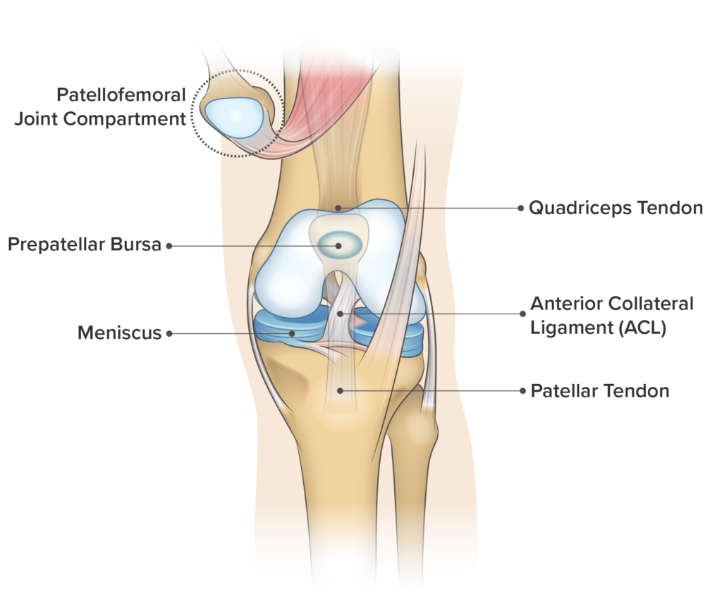 Chondromalacia Patella Specialist